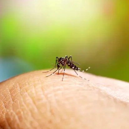 Vitória da Conquista segue no topo de casos prováveis de dengue na Bahia