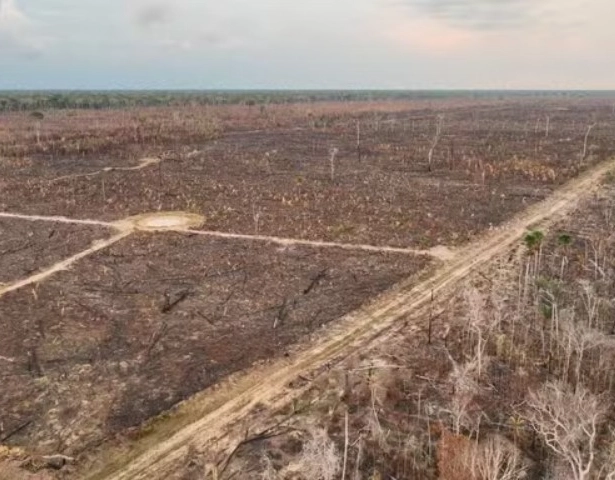 Desmatamento na Amazônia cai 30% e atinge menor índice desde 2015, diz governo