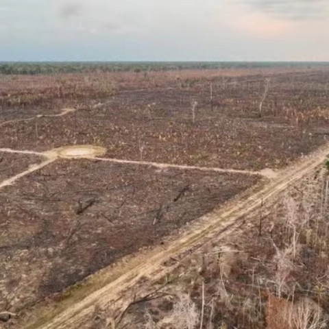 Desmatamento na Amazônia cai 30% e atinge menor índice desde 2015, diz governo