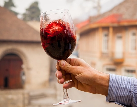 Vinhos em Harmonia – Acidez, corpo e final: aprendenda a descrever um vinho