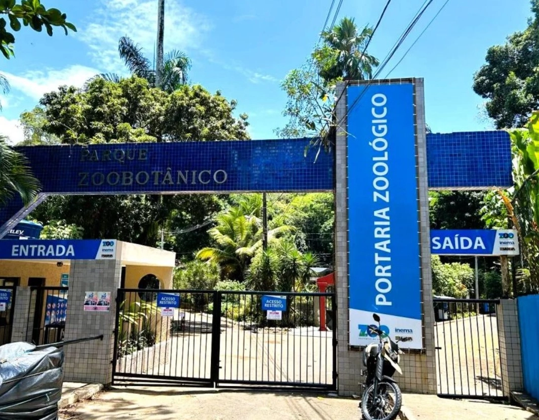 Zoológico de Salvador tem nova entrada durante reformas; saiba detalhes