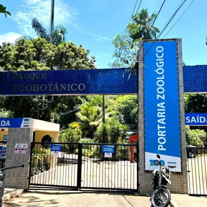 Zoológico de Salvador tem nova entrada durante reformas; saiba detalhes