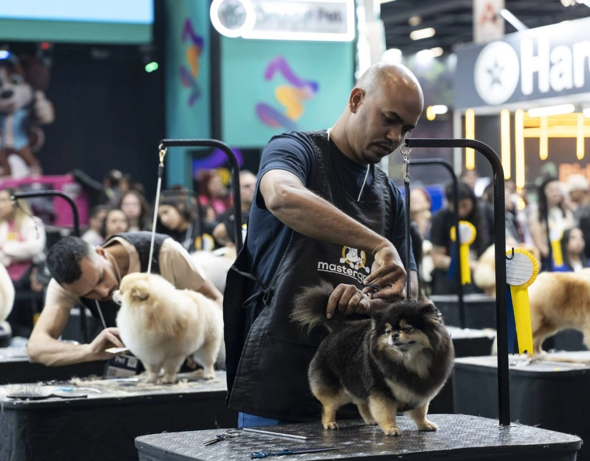 Salvador vai sediar maior evento PET do Nordeste em 2025