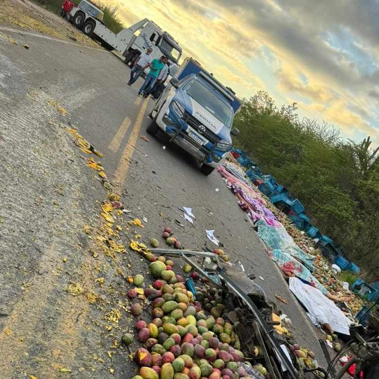 Morre 25ª vítima da tragédia envolvendo micro-ônibus e caminhão na BR-324