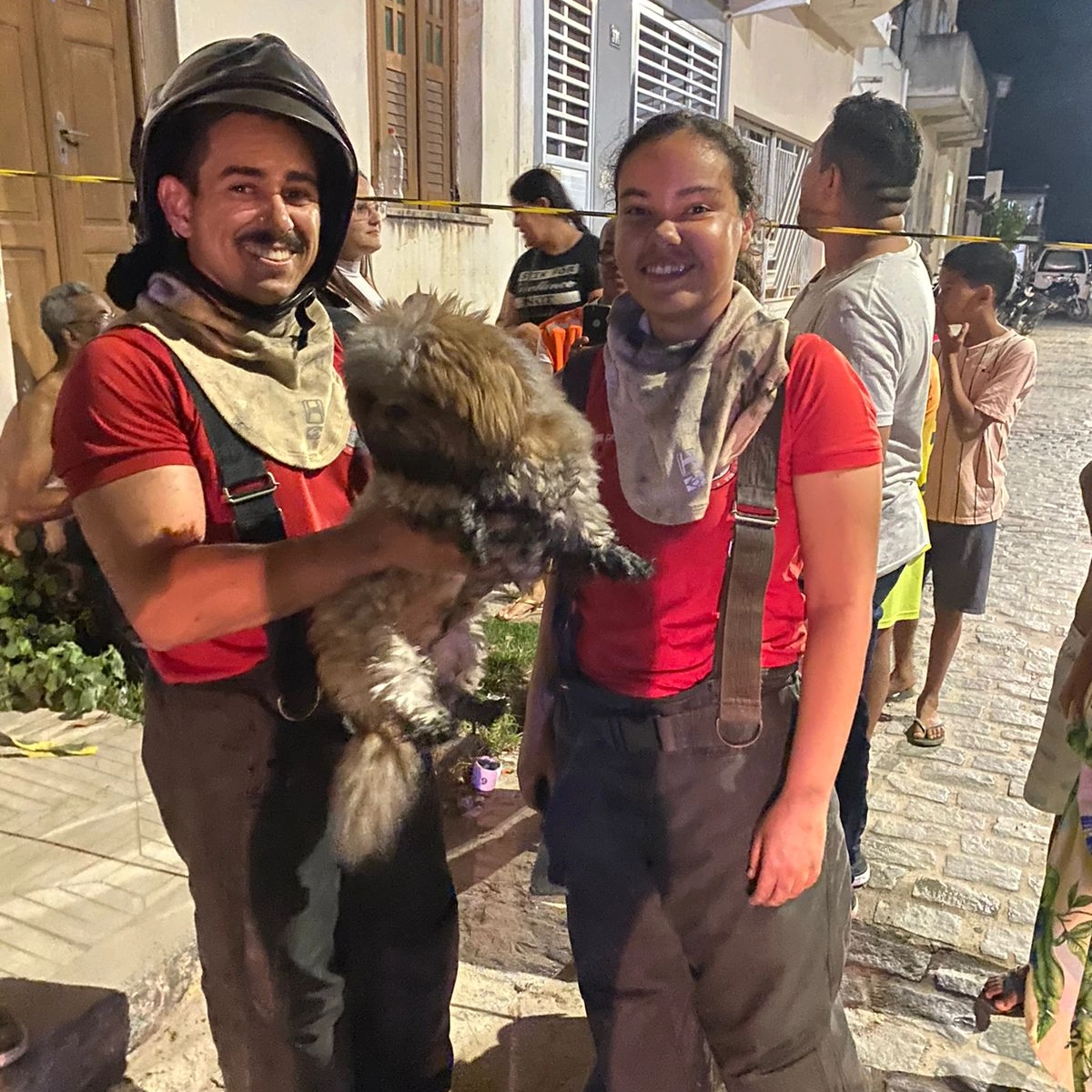 Bombeiros resgatam cachorro de casa em chamas na Bahia