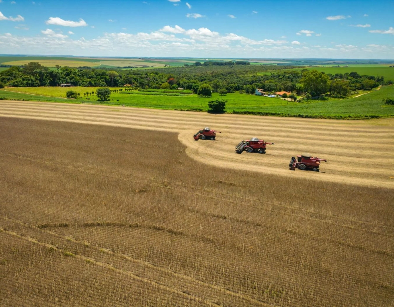 Fazenda na Bahia é vendida por R$ 141 milhões; saiba detalhes