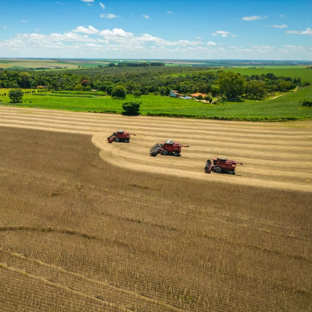 Fazenda na Bahia é vendida por R$ 141 milhões; saiba detalhes