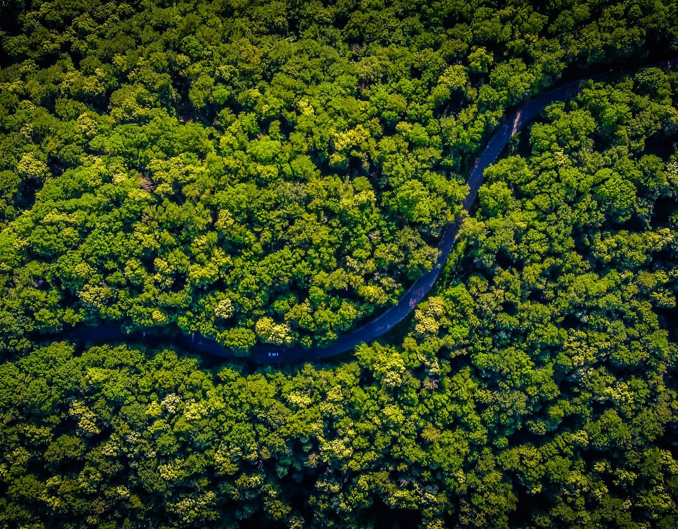 Desmatamento na Amazônia cai 11% e atinge menor índice em 11 anos, diz Inpe