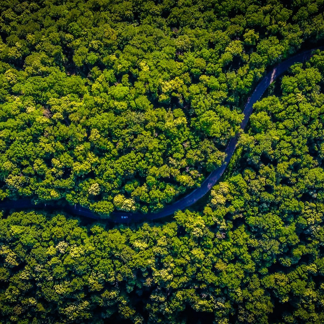 Desmatamento na Amazônia cai 11% e atinge menor índice em 11 anos, diz Inpe