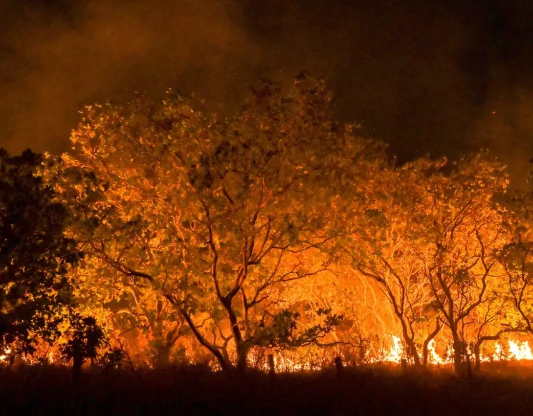 Fumaça de queimadas na Amazônia atinge cidades de dez estados