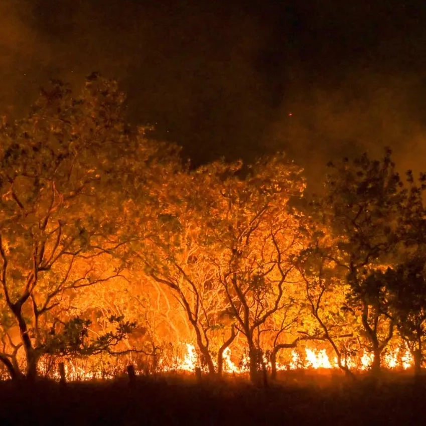 Fumaça de queimadas na Amazônia atinge cidades de dez estados