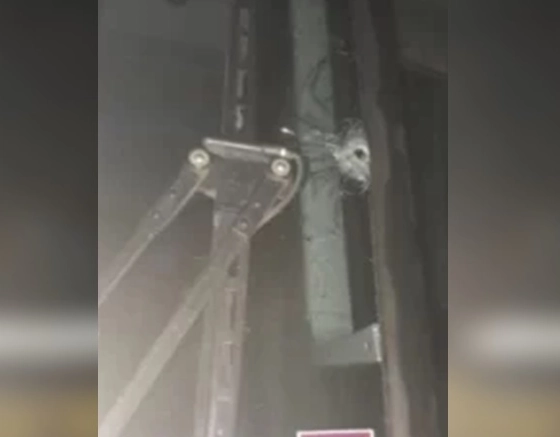 Motorista de ônibus com mais de 40 passageiros é ferido ao fugir de assalto na BR-101