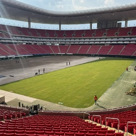 Grama da Copa do Mundo de 2026 começa a ser cultivada no Brasil