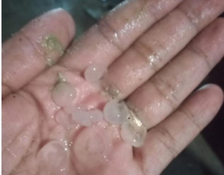 Assista: Mata de São João é atingida por chuva de granizo e moradores registram fenômeno