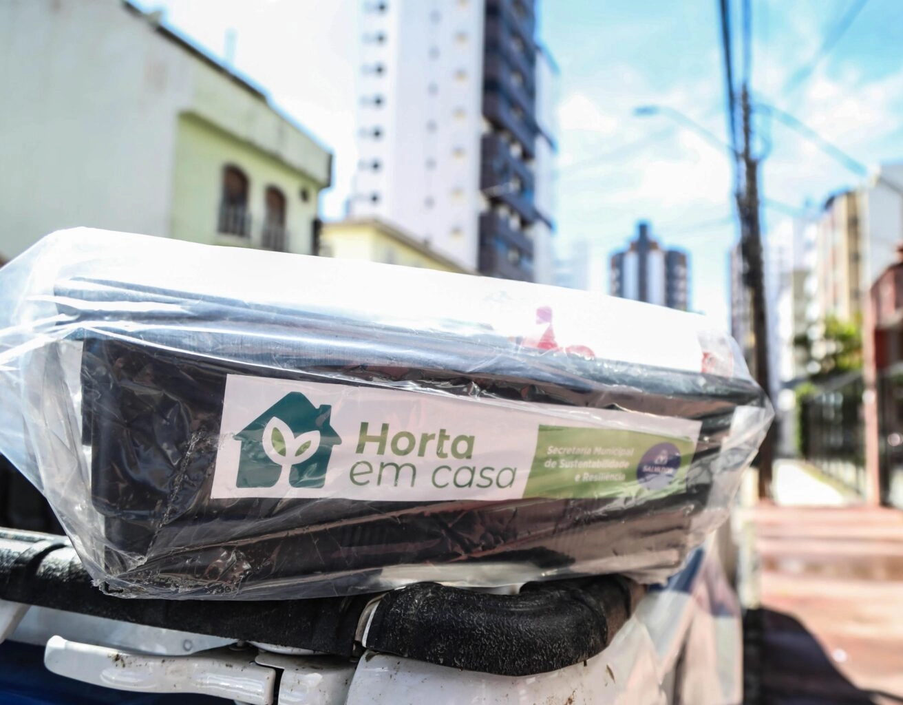 Inscrições para nova edição do Horta em Casa começam nesta sexta em Salvador