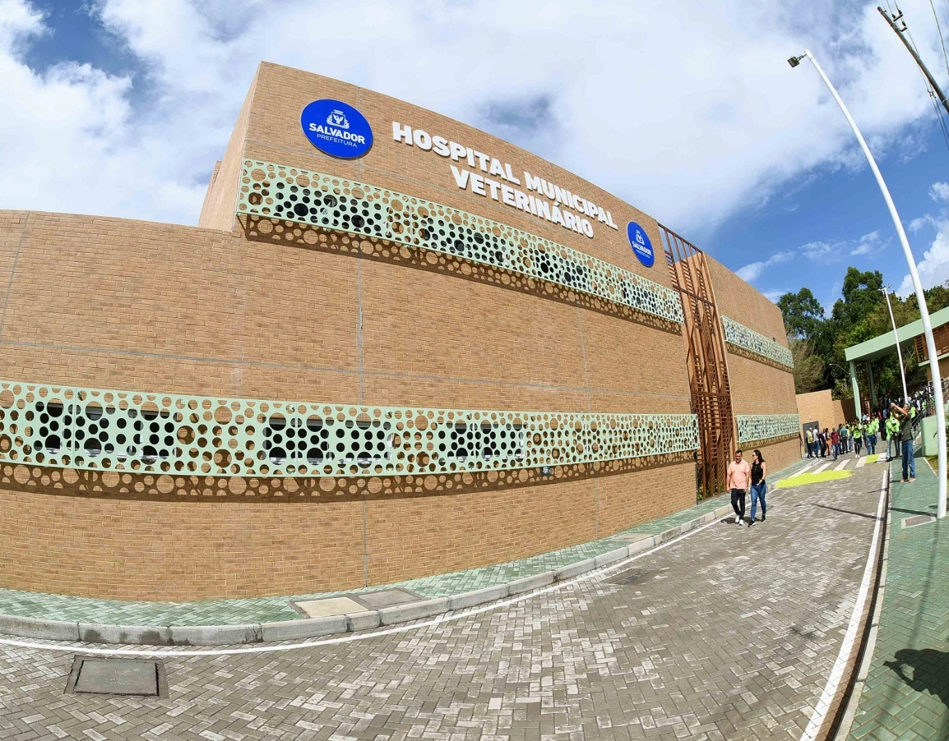 Mutirão oferece agendamento para castração gratuita de animais em Salvador