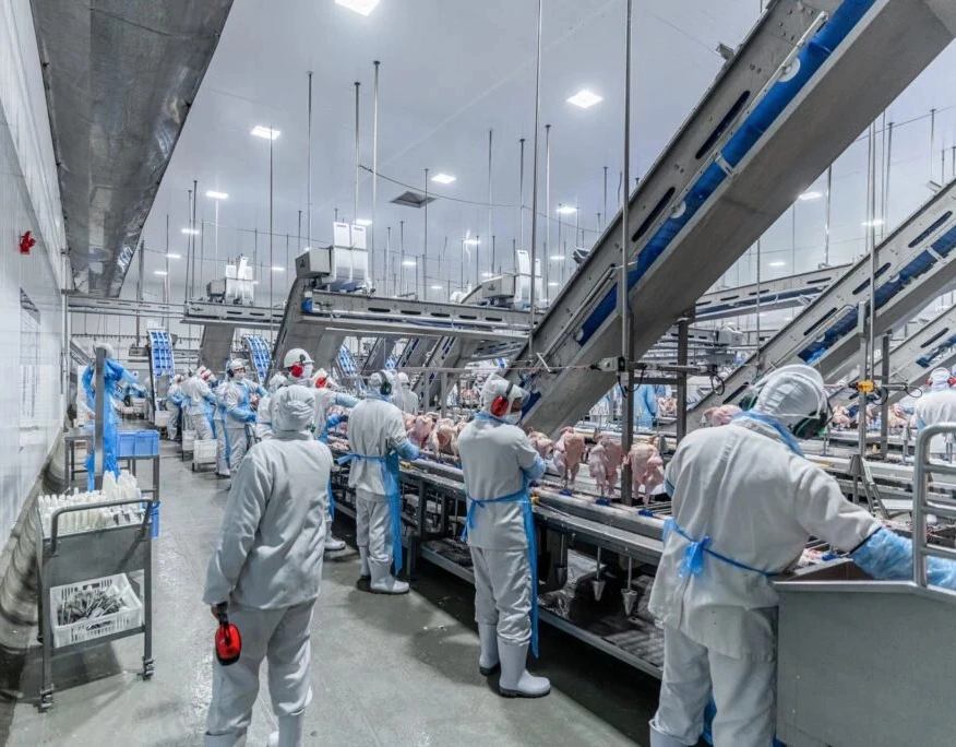 Coreia do Sul prepara inspeção em frigoríficos no Brasil para retomar importações de frango