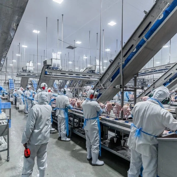 Coreia do Sul prepara inspeção em frigoríficos no Brasil para retomar importações de frango