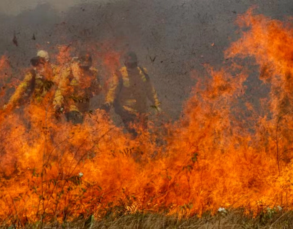 Pantanal e Cerrado registram maior número de incêndios desde 1988