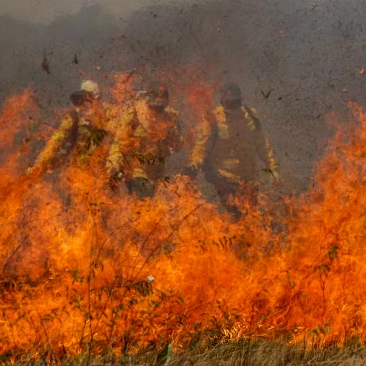 Pantanal e Cerrado registram maior número de incêndios desde 1988