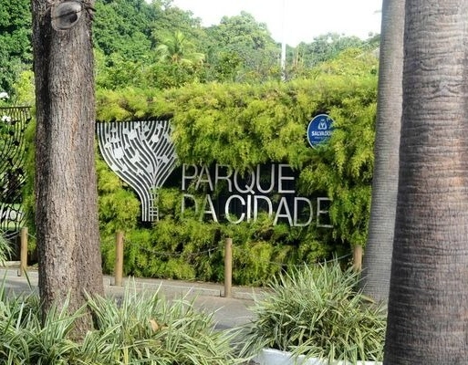 Salvador é a quarta capital do país com melhor qualidade ambiental, aponta ranking