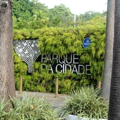 Salvador é a quarta capital do país com melhor qualidade ambiental, aponta ranking