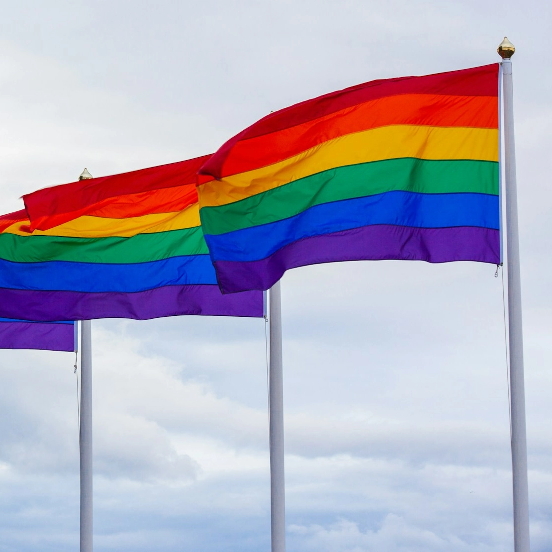 Mesa redonda debaterá inclusão de pessoas LGBTQIAPN+ no mercado de trabalho