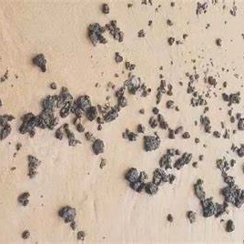 Manchas de óleo aparecem em praias de Salvador