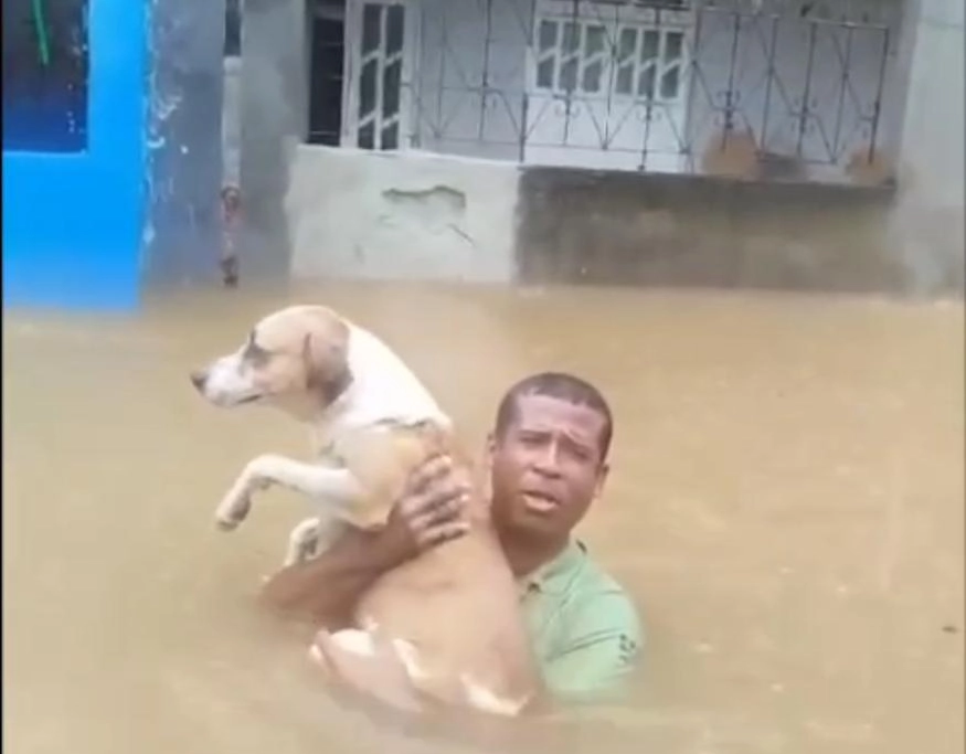 Com água no pescoço moradores pedem socorro em Plataforma