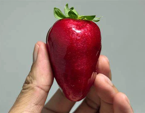 Febre do ´morango do amor' faz preço da bandeja disparar nas feiras