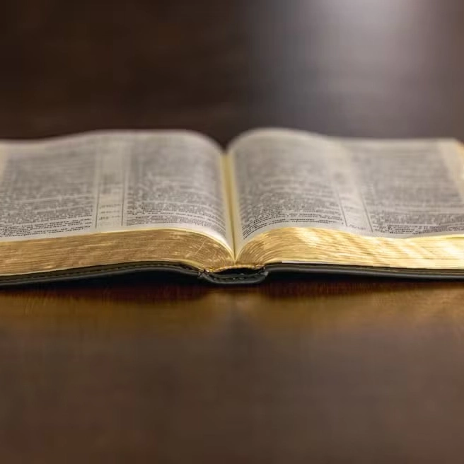 Lei autoriza uso da Bíblia como material paradidático em escolas de Salvador