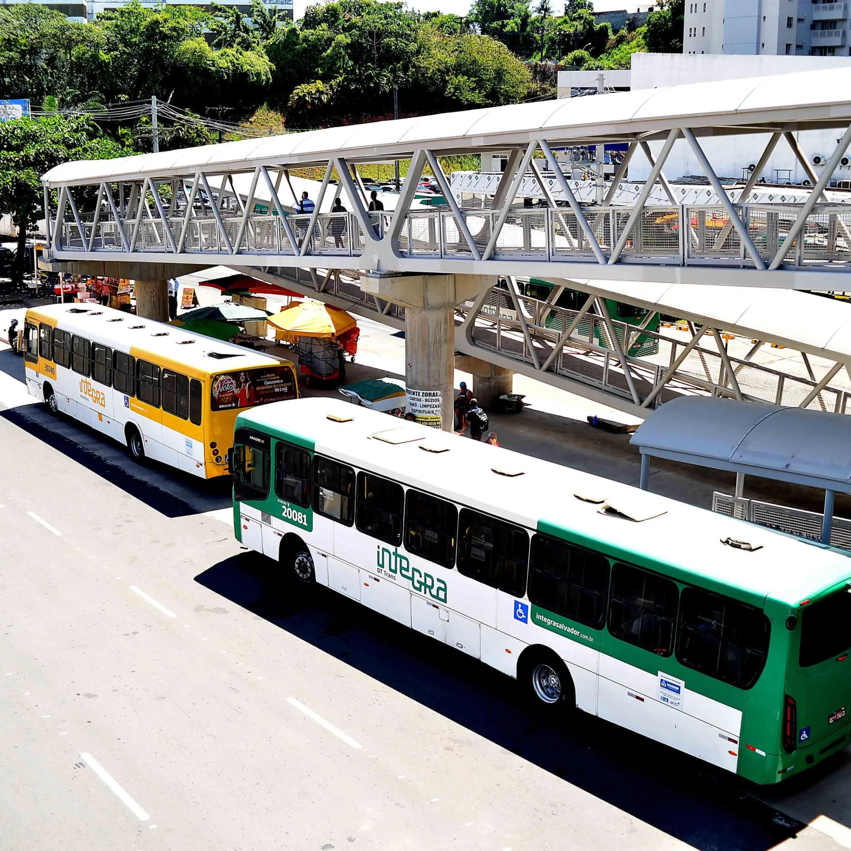 Vitória x Guarani: Prefeitura monta esquema especial de ônibus para Barradão