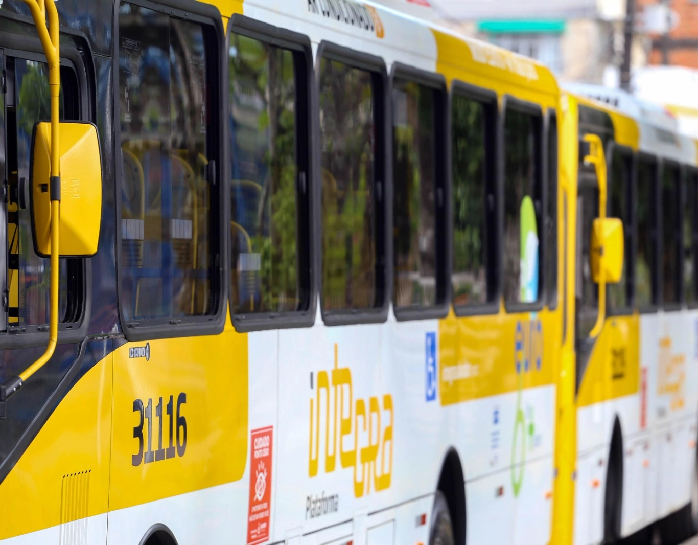 Transporte público vai ser de graça na eleição