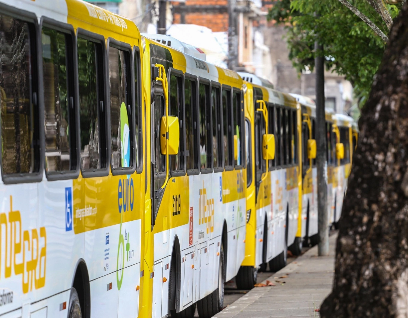 Salvador terá operação de transporte durante festejos do 7 de Setembro