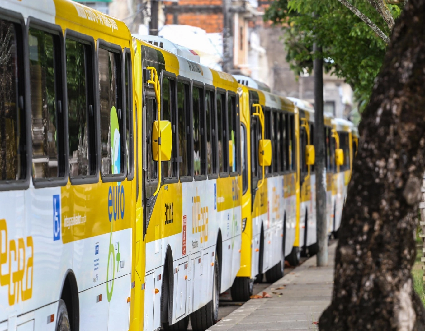 Prefeitura monta esquema especial de transporte para o Festival de Verão