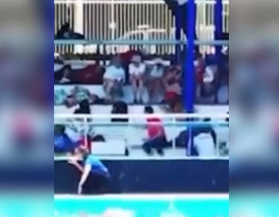 Tiros interrompem mundial aquático em Salvador e caso repercute internacionalmente