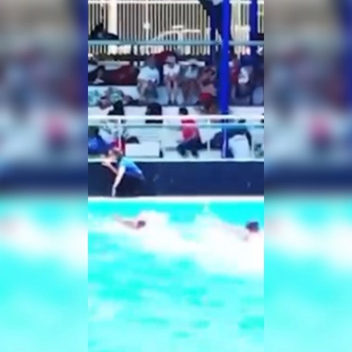 Tiros interrompem mundial aquático em Salvador e caso repercute internacionalmente