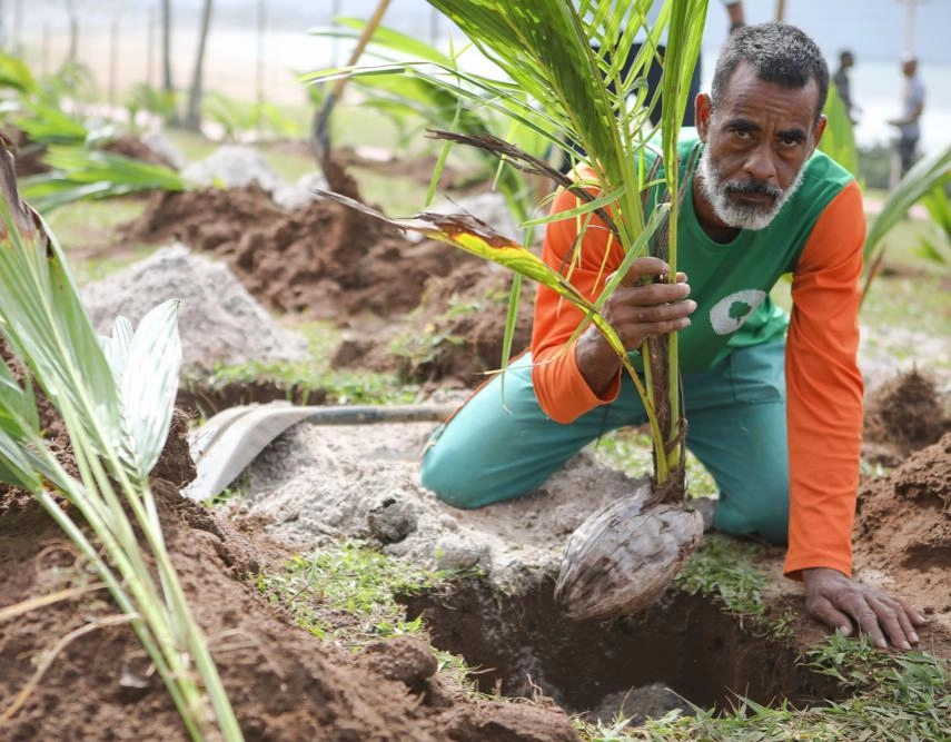 Salvador é segunda capital com mais área verde do Brasil