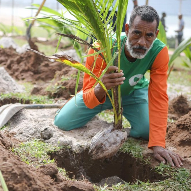 Salvador é segunda capital com mais área verde do Brasil