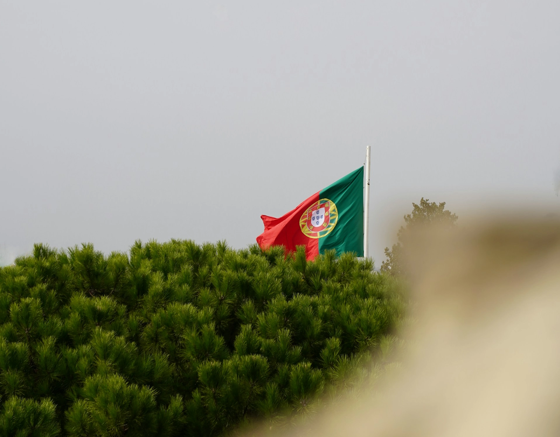 Imigrantes ilegais terão 20 dias para deixar Portugal; entenda