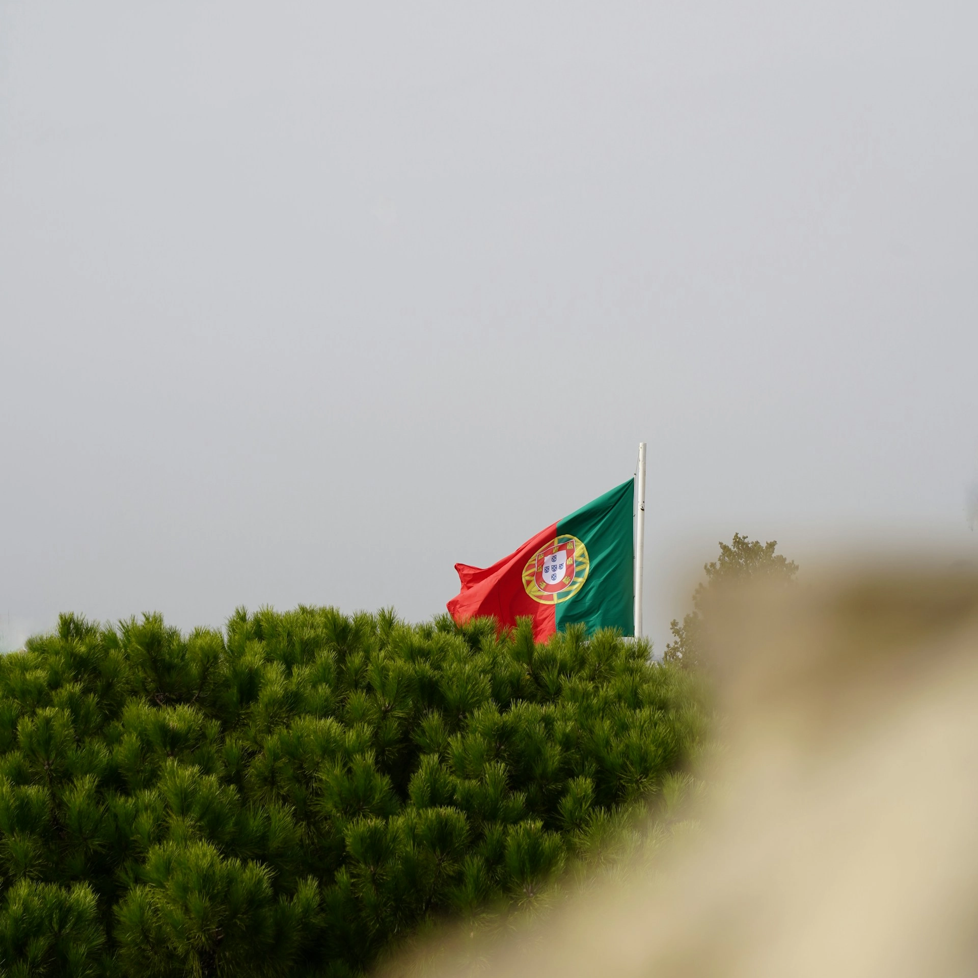 Imigrantes ilegais terão 20 dias para deixar Portugal; entenda