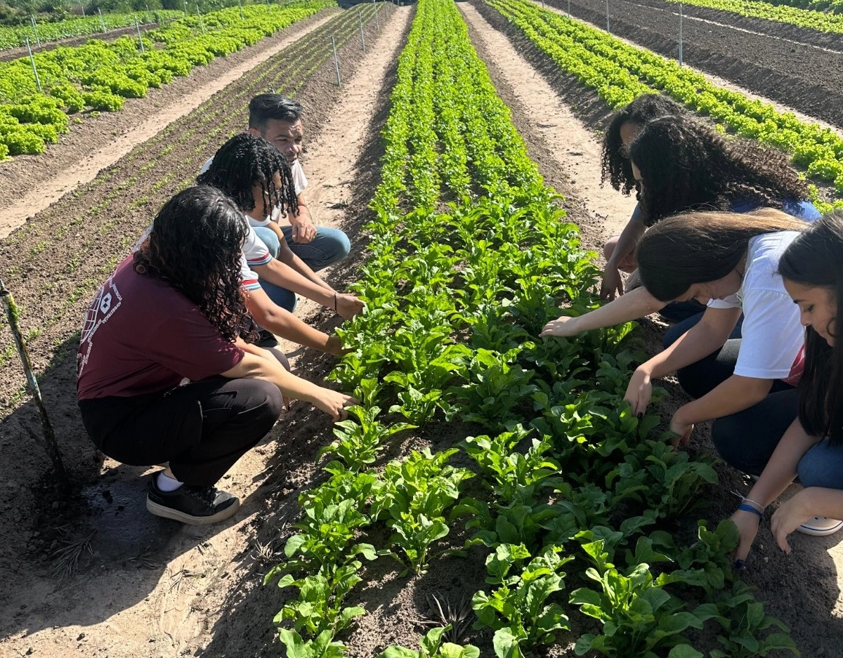 Estudantes baianas criam pré-treino natural à base de beterraba