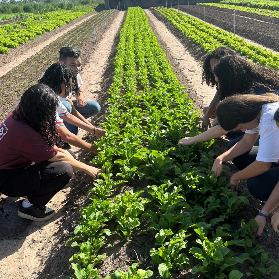 Estudantes baianas criam pré-treino natural à base de beterraba