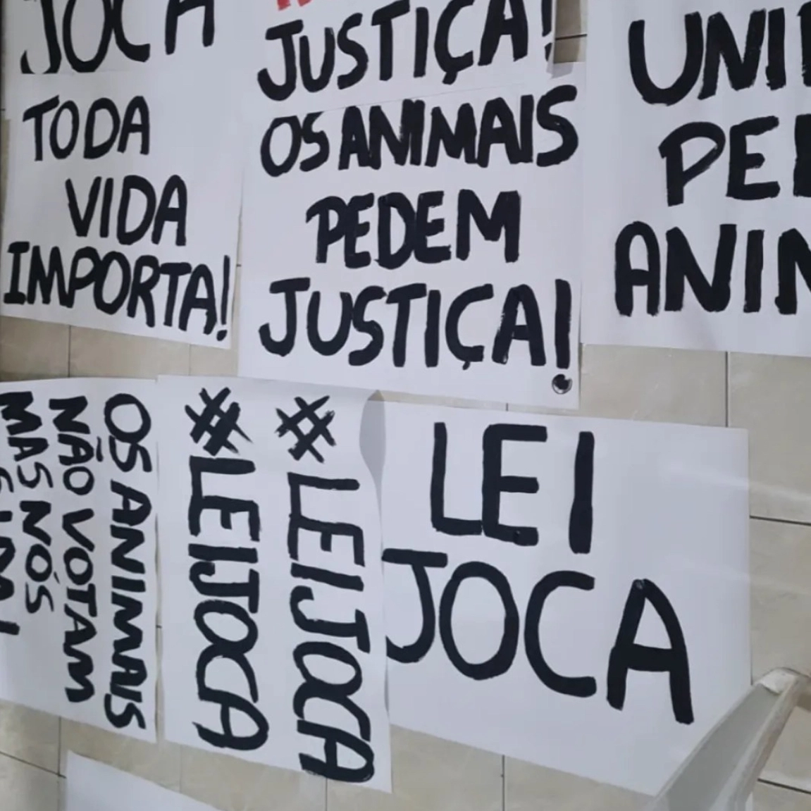 Caso Joca: Tutores de cães realizam protesto no aeroporto de Salvador