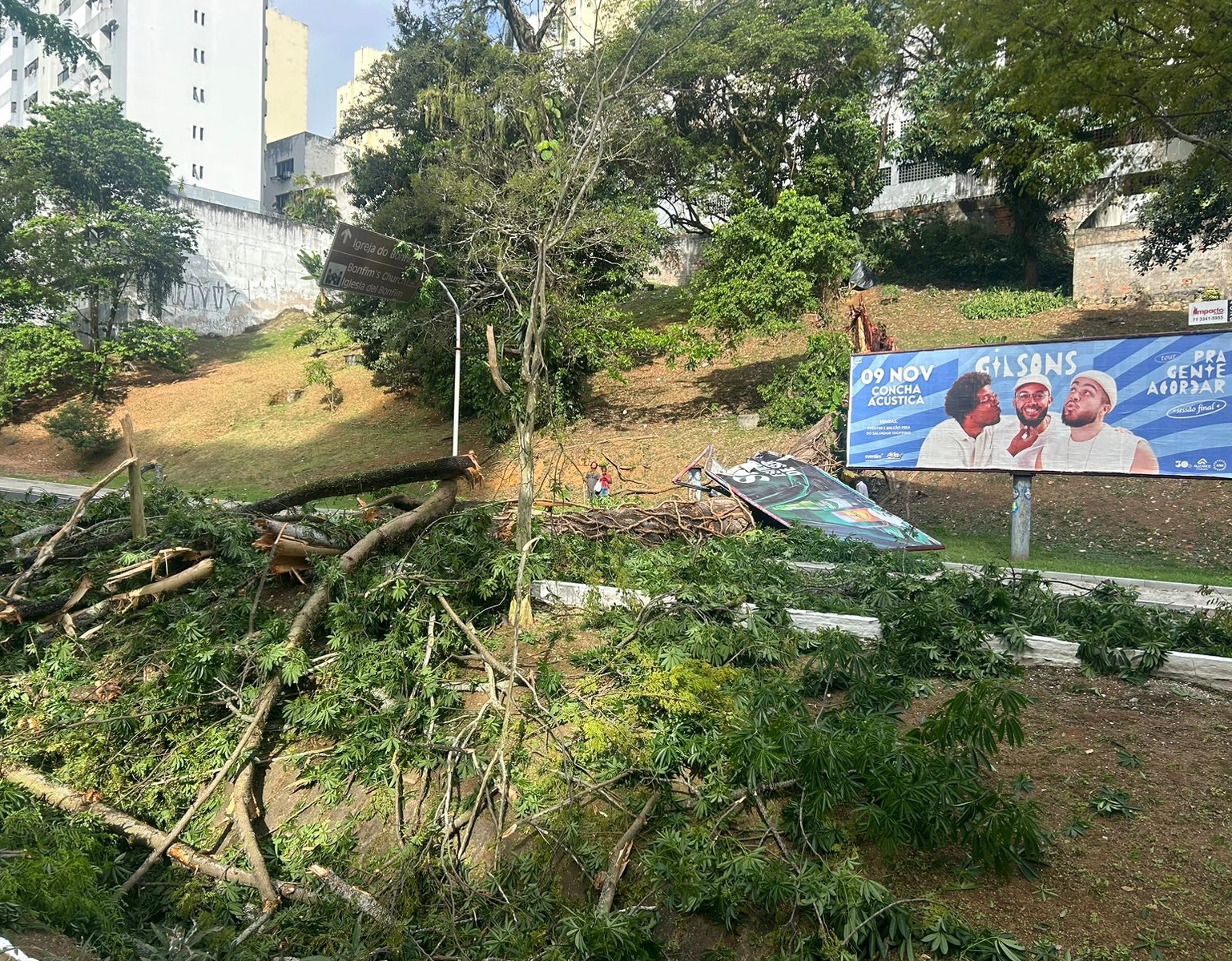 Árvore cai e bloqueia trânsito em importante avenida de Salvador; veja fotos