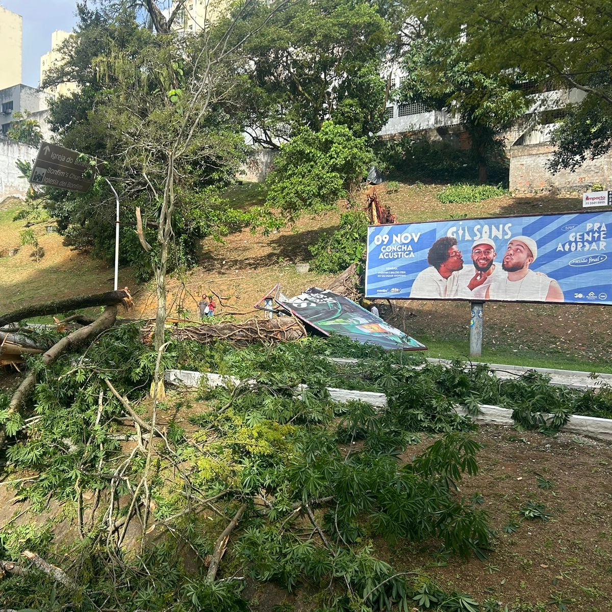 Árvore cai e bloqueia trânsito em importante avenida de Salvador; veja fotos