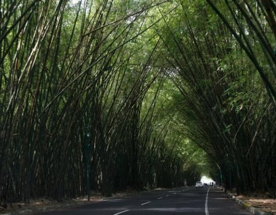 Motorista de app e passageiros são atacados por mais de 10 homens no Bambuzal