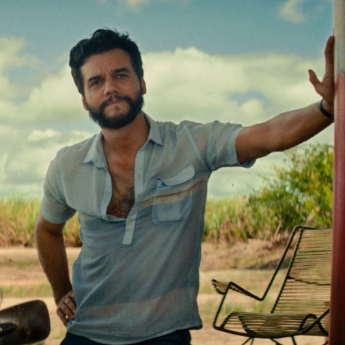 Wagner Moura entra na disputa pelo Emmy e é cotado ao Oscar, segundo Variety