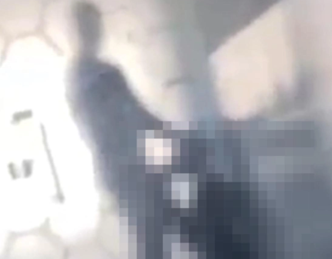 Vídeo de casal fazendo sexo em faculdade de Salvador viraliza e instituição diz que vai apurar