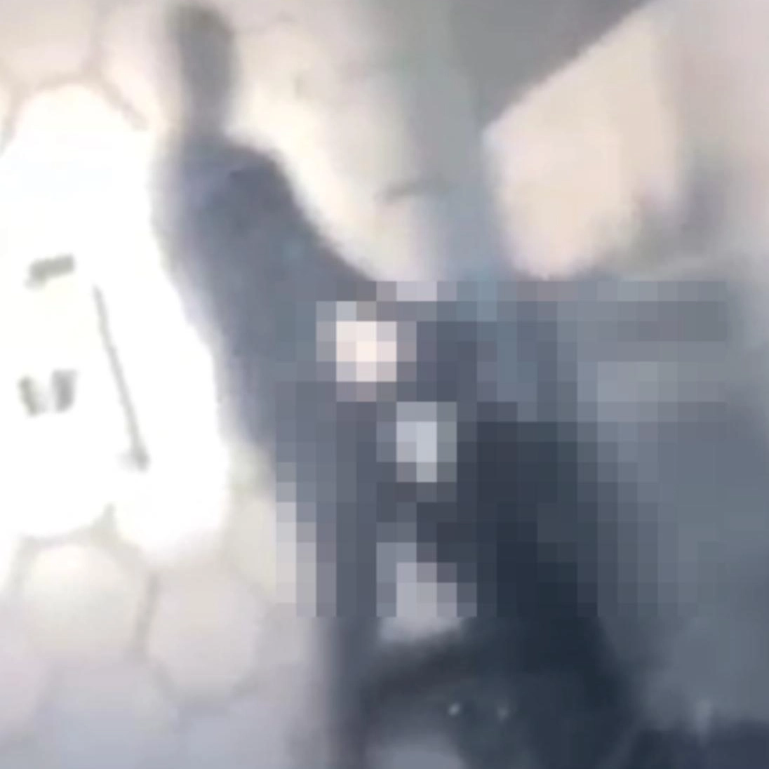 Vídeo de casal fazendo sexo em faculdade de Salvador viraliza e instituição diz que vai apurar